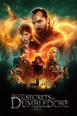 Nonton Fantastic Beasts: The Secrets of Dumbledore (2022)  lk21 Film Subtitle Indonesia